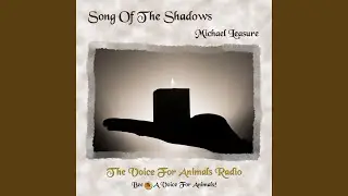 Song Of The Shadows