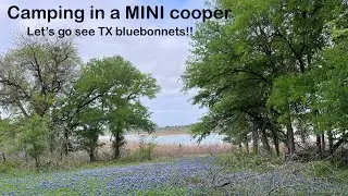 Solo Female Camping | Silent Vlog | Texas Bluebonnets | Camping in a MINI Cooper