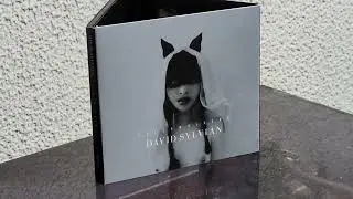Do You Know Me Now ? / David Sylvian