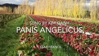 Panis Angelicus by C&eacute;sar Franck. Soprano: Kim Oanh. Recorded at Van Leucia Productions
