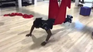 Ade Adepitan Fitness