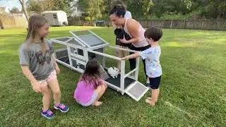 Is the 93&rdquo; Large Rabbit Hutch Outdoor Indoor Worth the Money? Here&rsquo;s What We Found W7765