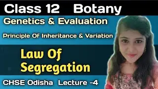 Class 12 Botany Genetics and Evaluation ||Law Of Segregation ||Chse Odisha