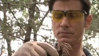 Mykel Hawke teaching a bit about bugs