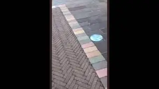 Hermes Ferrari offende una guardia giurata e poi prende a testate un passante