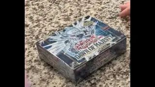 Dawn of Majesty Opening!