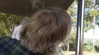11/21/22 A front view ride on CP Huntington 2 with not so many animal views and dinging the bell