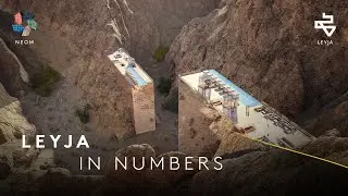 NEOM - Leyja in Numbers
