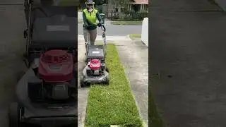 Edge, Mow and Blow Lawn Mowing #shorts #lawnmowing #mowing #lawncare #lawnmaintenance #lawn