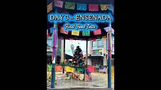 Day 3 in Ensenada 🇲🇽 | Tacos, Michelin Dining, Wine, $16 Bus & Walk Home