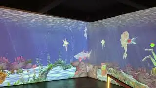 Beautiful Marine Life Virtual Reality #virtualreality #marinelife #sketch