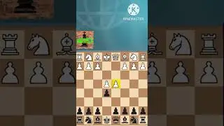 Chess Opening Traps - Center Game #chess #shorts #viral