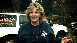 Pet Detective (reality TV Internet project)