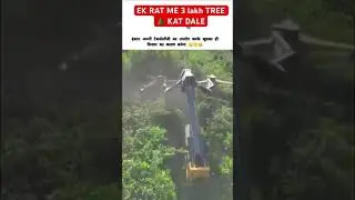 HCU hyderabad telangana jungle news | Elephant attack on Jcb  🥺😭 | Hyderabad Forest News #shortsfeed