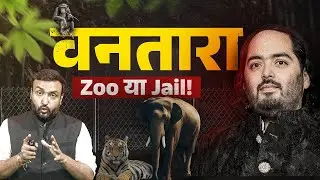 Vantara Zoo: Anant Ambani के प्रोजेक्ट पर लगे Carbon Credit, पशु तस्करी के आरोपों का सच क्या?