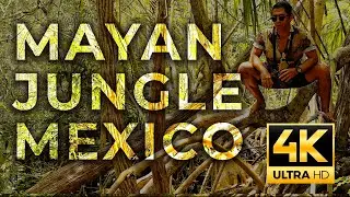 Welcome to Sisal Yucatan Mexico 4k Film