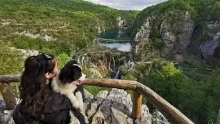 Come to Plitvice lakes with me! | Weekly vlog #75