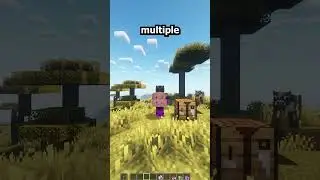 I Tried the Most Powerful Backpack Mod! #minecraft