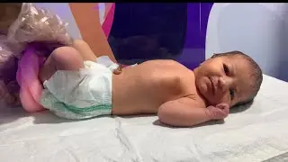 NICU Discharge Day: How a Nurse Prepares a Baby to Go Home 🏡 #NICUGraduation