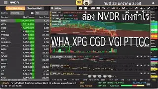 ส่อง NVDR เก็งกำไร WHA XPG CGD VGI PTTGC วันที่ 25 มกราคม 2568