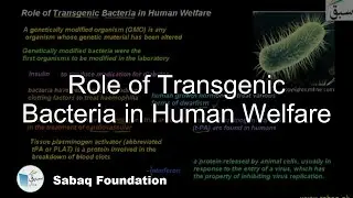 Role of Transgenic Bacteria in Human Welfare, Biology Lecture | Sabaq.pk