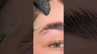 Brow Lamination Waxing Hack - #browlamination #brows #browtips #browwax #browwaxing #browcourse
