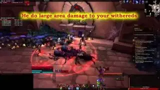 Withered Army Training: Full Clear [WoW Legion]