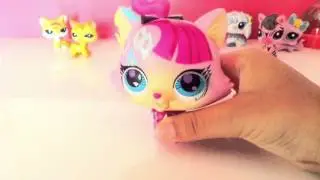 LPS SINGING CAT TOY REVIEW CUSTOMIZED !