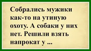 Собрались мужики как-то на утиную охоту... 😂 Сборник смешных анекдотов! 😂 Юмор до слёз! 😂