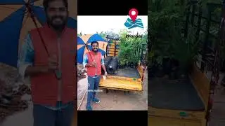 donors for 50 plants # from USA  #rare plants #Indian local plants.