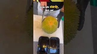 Smart Guide to Choosing and Peeling Durian Like an Expert #durian #howto