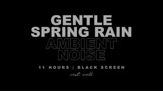 Gentle Spring Rain Ambient Pink Noise 11 HOURS (No Ads) - Relax, Study, & Sleep