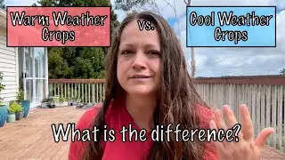 Warm vs Cool Weather Crops: What's The Difference?!