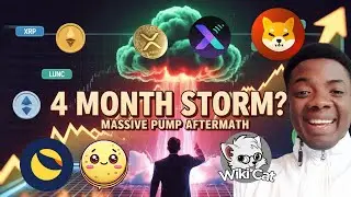 🚨 Crypto 4 Months of Storm?! Massive Pump Aftermath! Prophetic Insight on CREPE, WIKICAT, XPIN, XRP