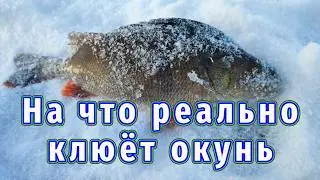 Хочешь поймать много рыбы? Смотри, что я использую!