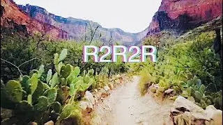 R2R2R  ||  Running 50 Miles through the Grand Canyon🌵