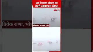 MP में छाया सीजन का सबसे ज्यादा घना कोहरा #mpweather #fog #fogalert