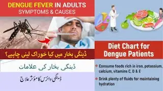 dengue |symptoms,treatment |  food to recover faster in dengue  | Diet plan for dengue fever