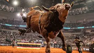 The Most INSANE Bulls of the 2026 PBR Season