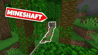 Nejmen&scaron;&iacute; mineshaft? | Shorty