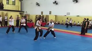 Kung Fu Choy Lay Fut - Exame faixa marrom clara - Aplicações de verde jade até vermelha