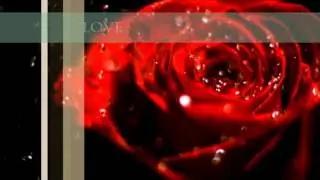 Blood Curse Series Trailer (by Tessa Dawn)