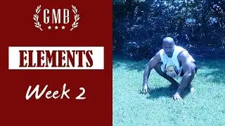 GMB Elements Week 2 Review | Show Me Don't Tell Me