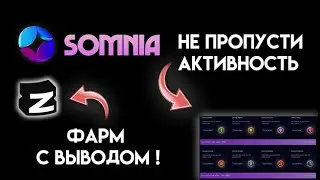 SOMNIA СДЕЛАЙ ЭТО ЧТОБЫ ПОЛУЧИТЬ ДРОП! ZEALY БЫСТРЫЙ ПРОФИТ ЗА КВЕСТЫ.