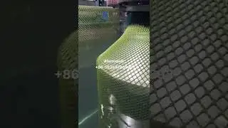 Poultry hex Netting Plastic Temporary BarrierChicken Wire Protection mesh machine #plasticnet