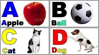 English Alphabet  |ABCD|Learn abcd | Alphabet Vocabulary | A for Apple , B for Ball @PRINIT1419