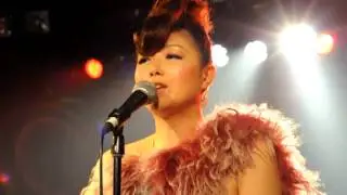 Apollo Choco Theater live at PULL 04/10 - Jungle Boogie