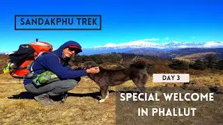 SANDAKPHU WINTER TREK - EPISODE 3 - PHALLUT IS BETTER THAN SANDAKPHU??