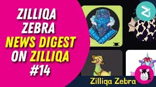 Zilliqa Zebra News Digest #14 -- (20 Sep 2021)