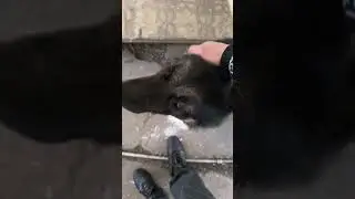 для помощи+79045334267 втб или т банк Руслан ш